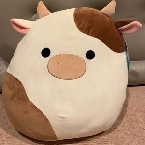 ronnie squishmallow